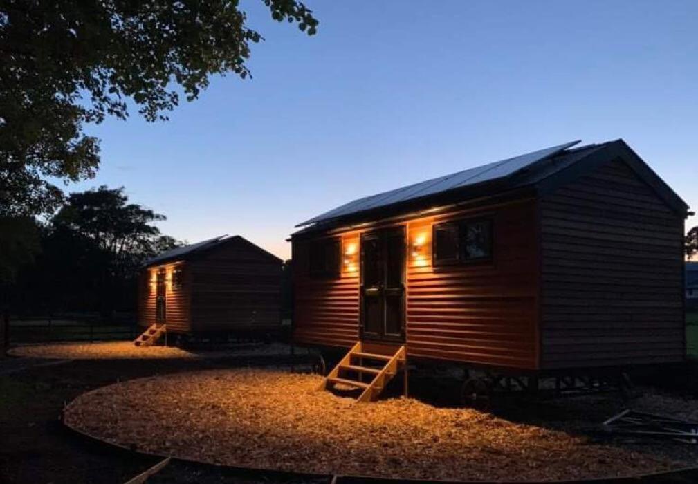 קרנארפון Woodland Shepherds Hut - 'Saga' מראה חיצוני תמונה